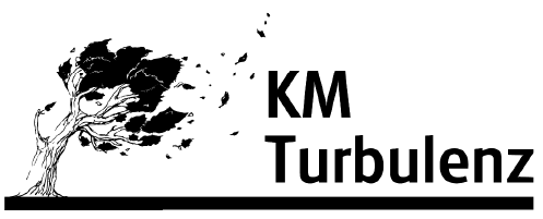 logo images/companies/41/logo_KM Turbulenz.png